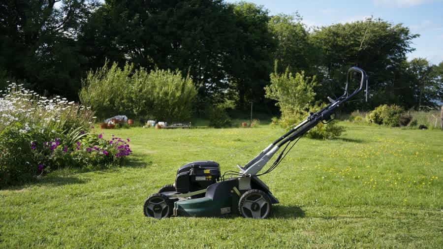 Lawn mower on a freshly cut lawn