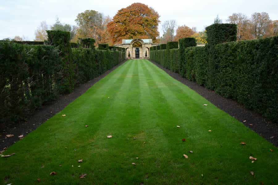 Long striped lawn between tall hedges